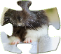 guinea-pig-puzzle-jigsaw-game