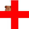Guinea Pig Health