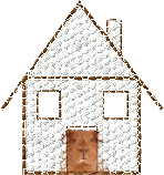 Guinea Pig House