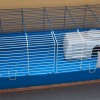 Guinea Pig Cage