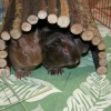 Hiding place